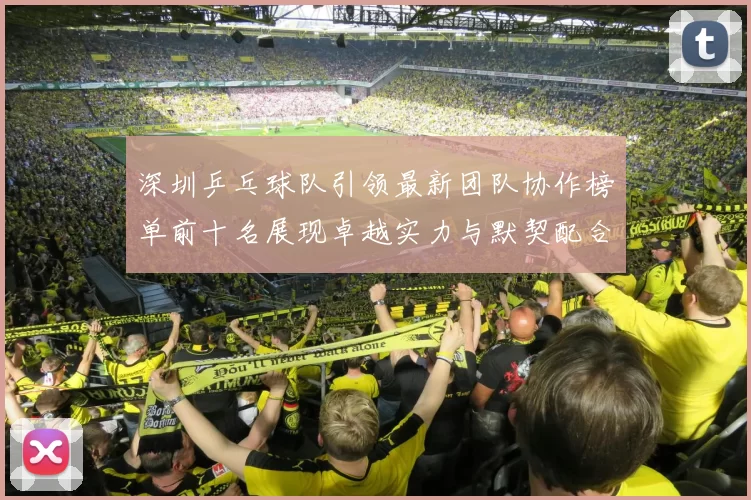 深圳乒乓球队引领最新团队协作榜单前十名展现卓越实力与默契配合